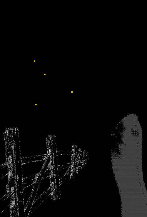 Movie poster for Fireflies Along the Fence (2025)