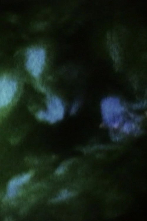 Movie poster for Field of Memories: Prelude (1994)