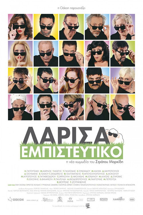 Movie poster for Larisa Confidential (2012)