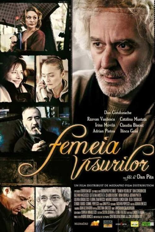 Movie poster for The Woman in the Dream (2005)