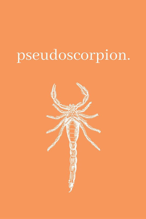 Movie poster for Pseudoscorpion