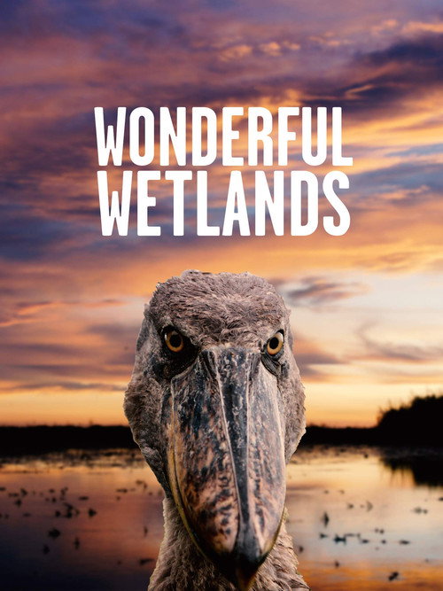 Movie poster for Wonderful Wetlands (2020)