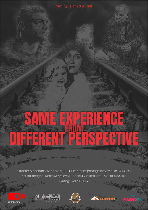 Movie poster for Same Experience, Different Perspective (2020)