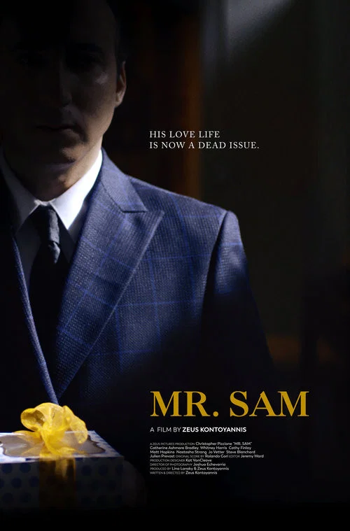 Movie poster for Mr. Sam (2019)