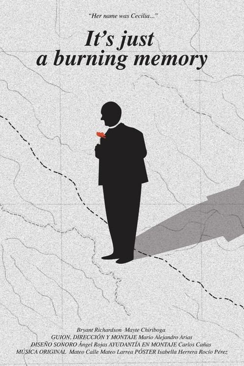 Movie poster for It's just a burning memory (2022)
