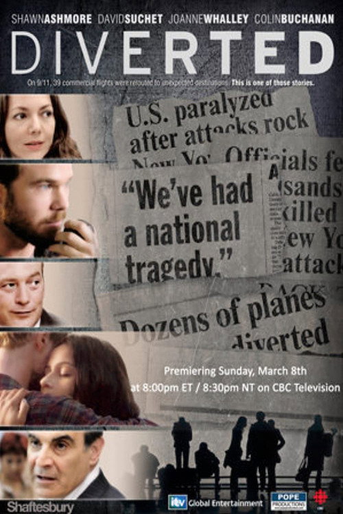 Movie poster for Diverted (2009)