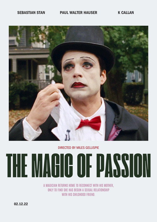 Movie poster for The Magic Of Passion (2022)