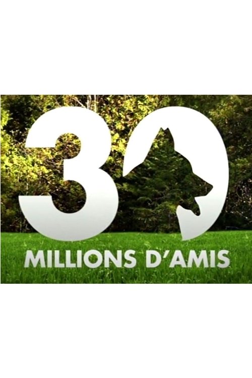 Series poster for 30 millions d'amis (1976)