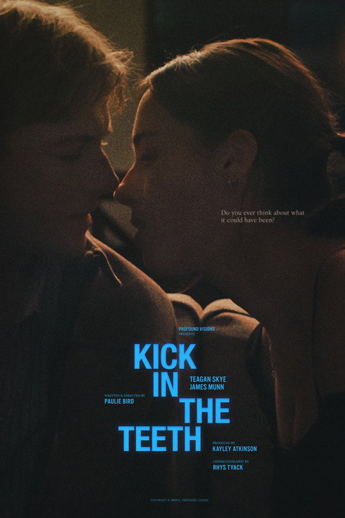 Movie poster for Kick in the Teeth