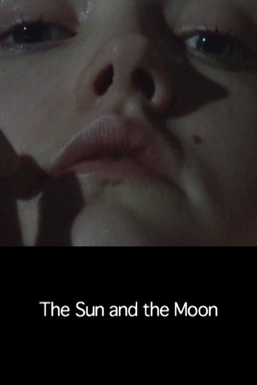Movie poster for The Sun and the Moon (2008)