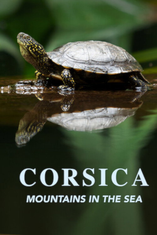 Movie poster for Corsica: Mountains in the Sea (2019)