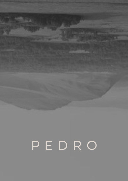 Movie poster for Pedro