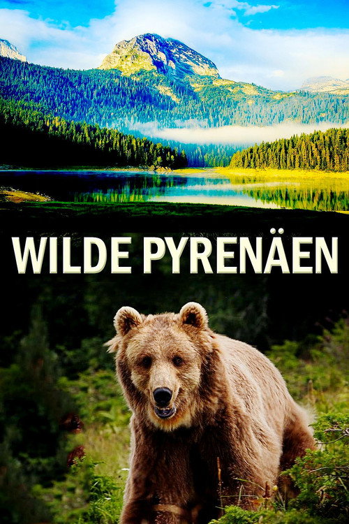 Series poster for Wild Pyrenees (2010)