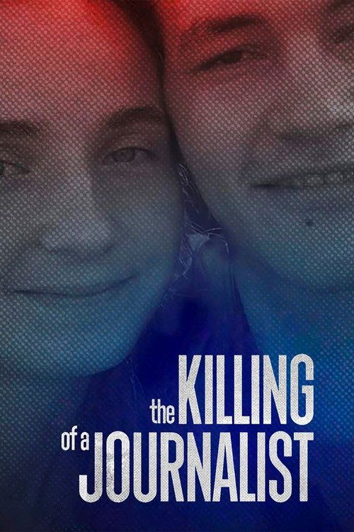 Movie poster for The Killing of a Journalist (2022)