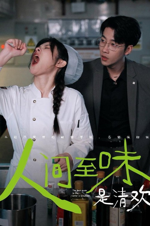 Series poster for 人间至味是清欢 (2024)