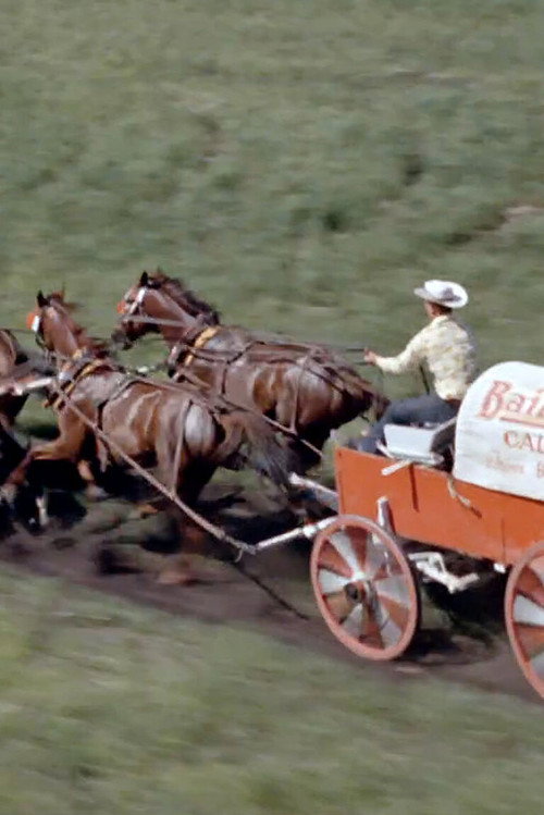 Movie poster for Chuckwagon (1964)