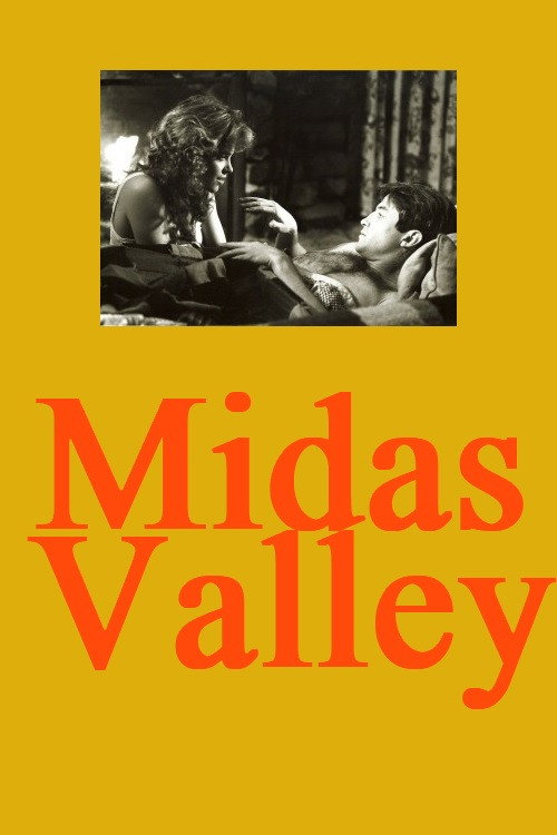 Movie poster for Midas Valley (1985)