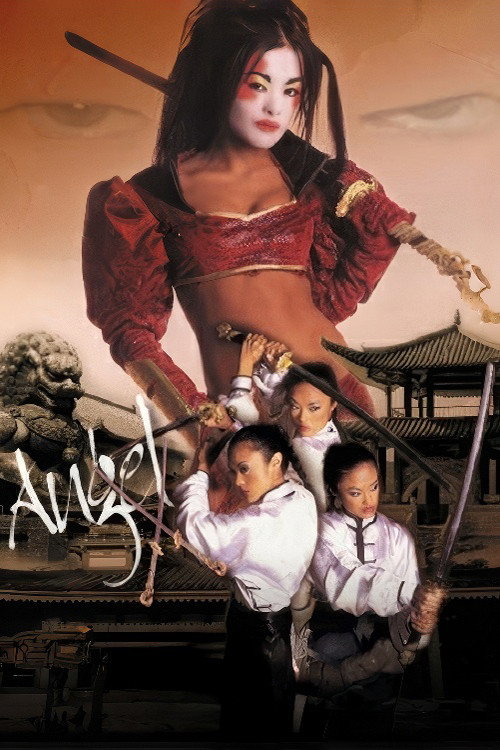 Movie poster for Angel X (2003)