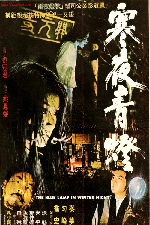 Movie poster for The Blue Lamp in Winter Night (1974)