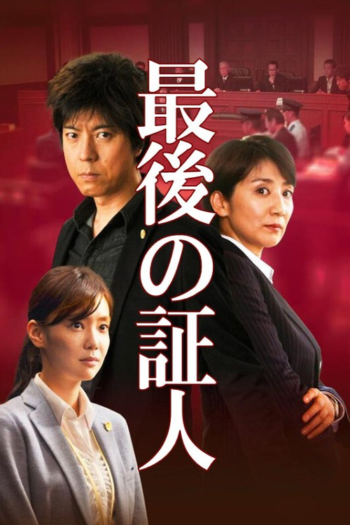 Movie poster for The Last Witness (2015)