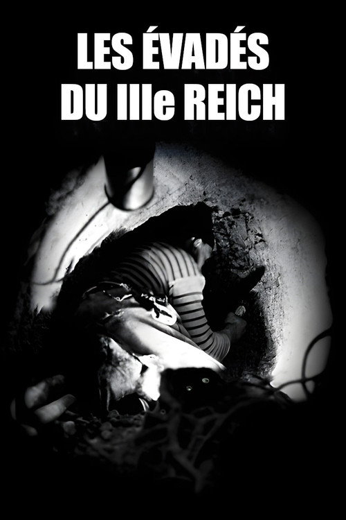 Movie poster for Les Évadés du troisième Reich (2015)
