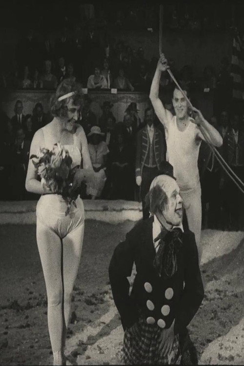 Movie poster for Demon Circus (1923)