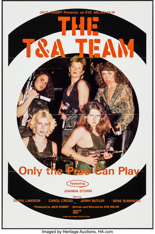 Movie poster for The T & A Team (1984)