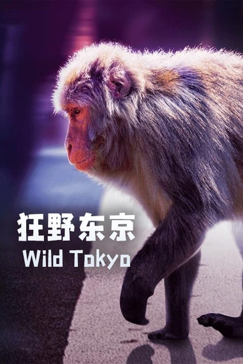 Movie poster for Wild Tokyo (2021)