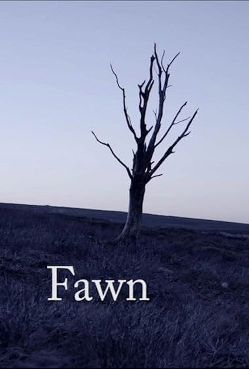 Movie poster for Fawn (2010)