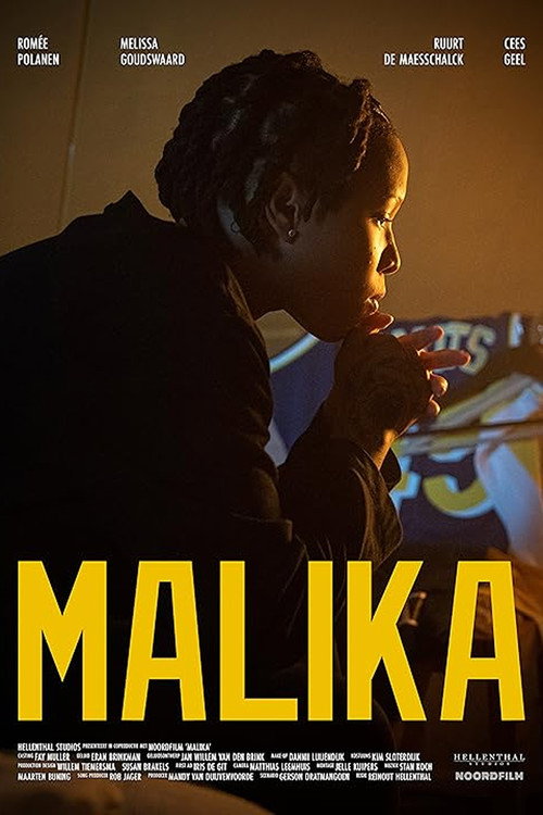 Movie poster for Mally Can Fly (2023)