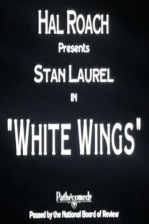 Movie poster for White Wings (1923)
