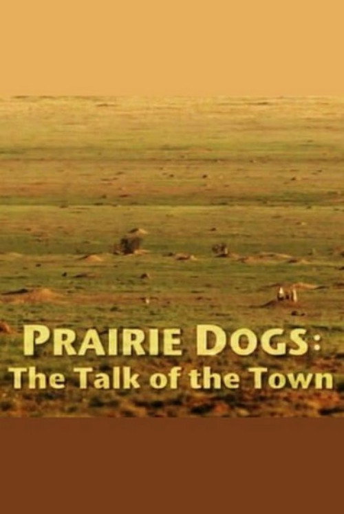 Movie poster for Prairie Dogs: Talk of the Town (2010)