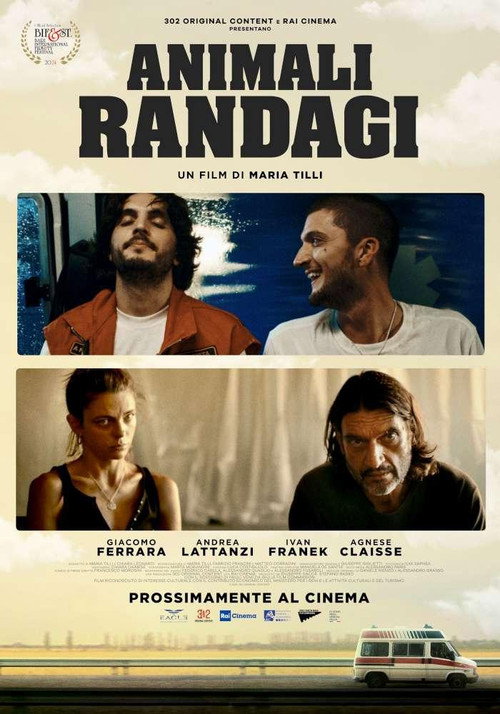 Movie poster for Animali randagi (2024)