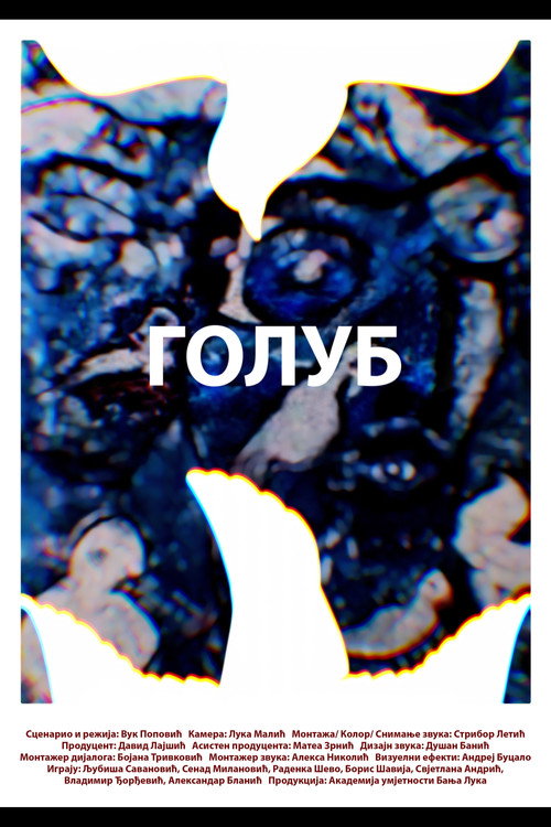 Movie poster for A Pigeon (2025)