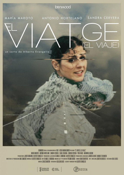 Movie poster for El Viatge (2017)