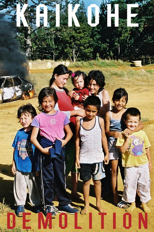 Movie poster for Kaikohe Demolition (2004)