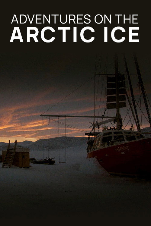 Movie poster for Adventures on the Arctic Ice (2016)