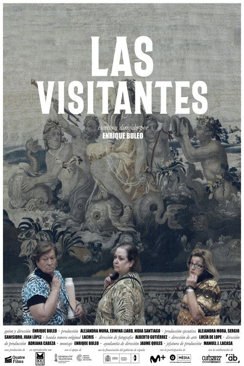 Movie poster for Women Visiting a City (2022)