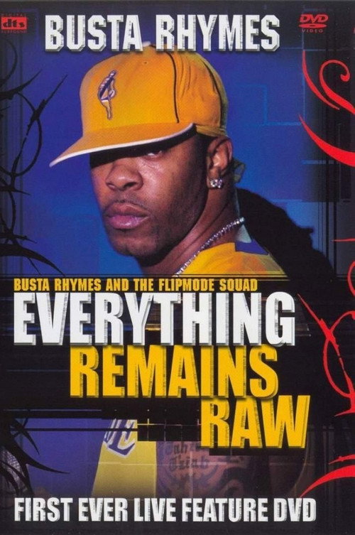 Movie poster for Busta Rhymes - Everything Remains Raw (2004)