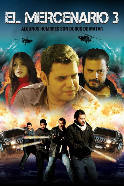 Movie poster for El Mercenario 3 (2015)