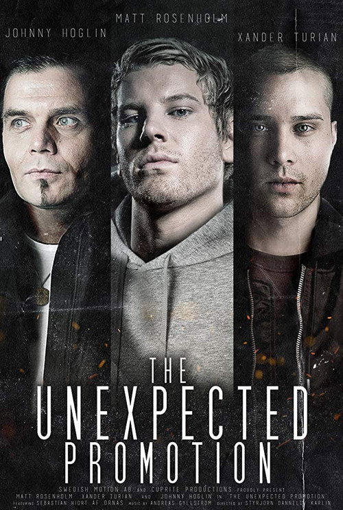 Movie poster for The Unexpected Promotion (2017)