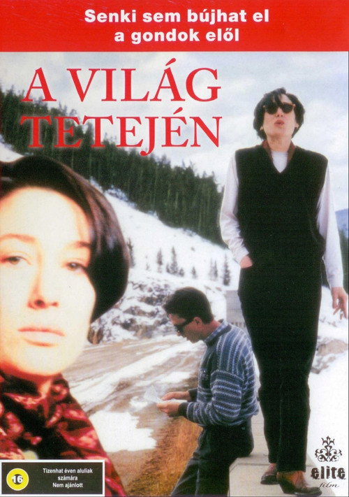 Movie poster for Top of the World (1993)
