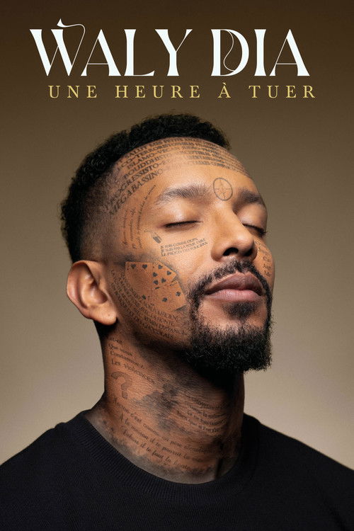 Movie poster for Waly Dia : Une heure à tuer (2025)