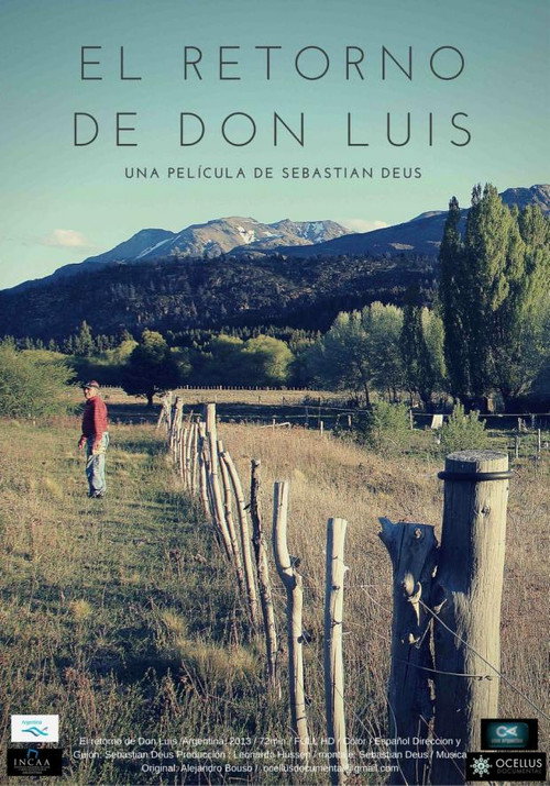 Movie poster for El retorno de Don Luis (2016)