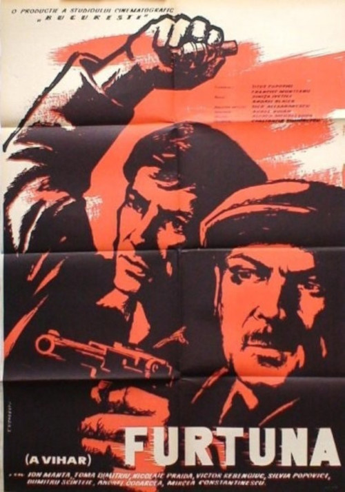 Movie poster for The Storm (1960)