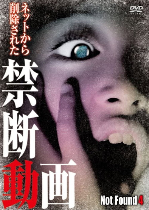 Movie poster for Not Found 4 (2012)