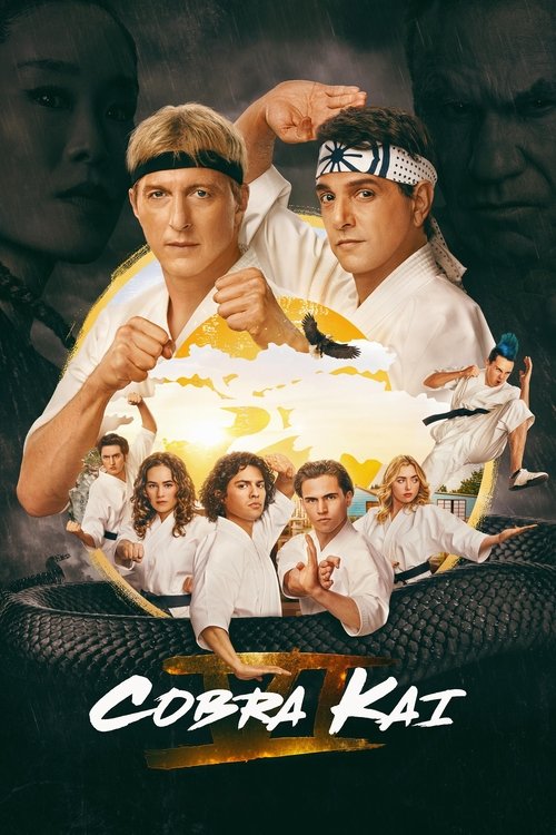 Series poster for Cobra Kai (2018)