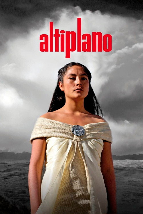 Movie poster for Altiplano (2009)