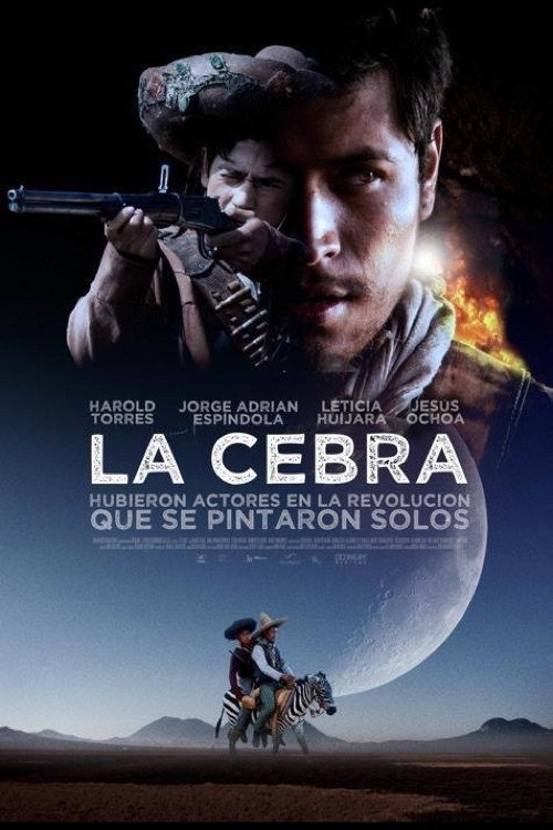 Movie poster for The Zebra (2011)