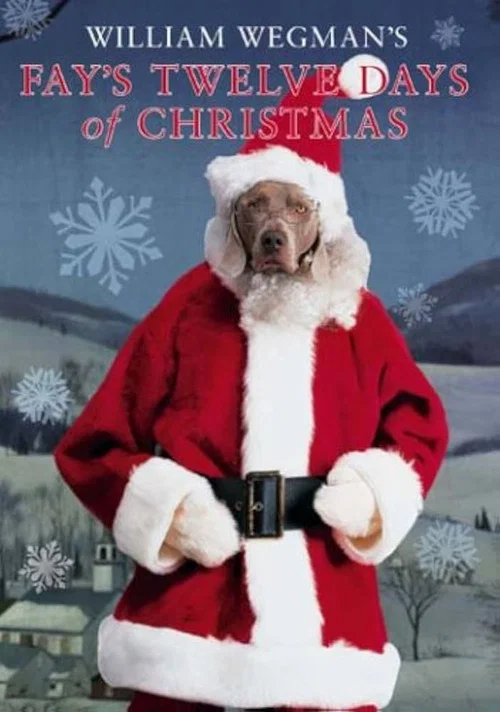 Movie poster for Fay's 12 Days of Christmas (1995)